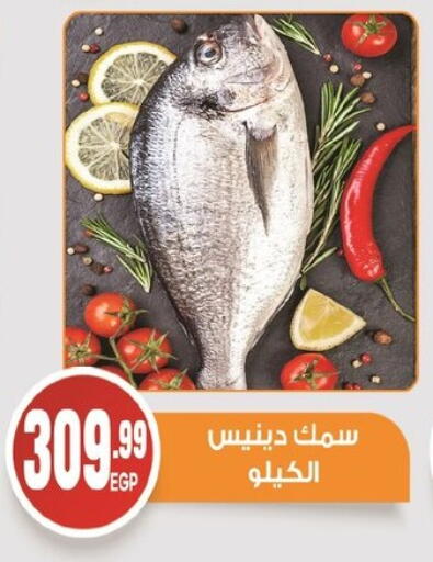available at El mhallawy Sons in Egypt - Cairo