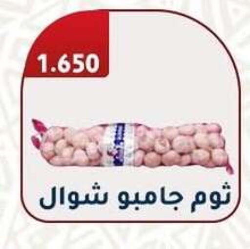 ثوم available at جمعية فحيحيل التعاونية in الكويت - محافظة الأحمدي