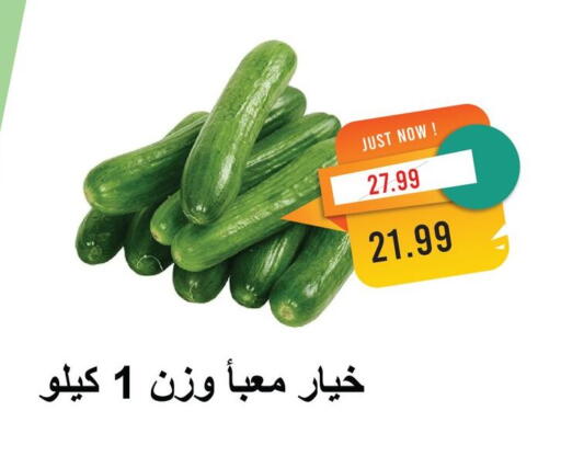 Fresh Vegetables in Metro Market , Egypt Offers - Egypt Cucumber available at Metro Market in Egypt - Cairo