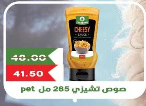 Sauces & Spreads in Bashayer hypermarket, Egypt Offers - Egypt Other Sauce available at Bashayer hypermarket in Egypt - Cairo