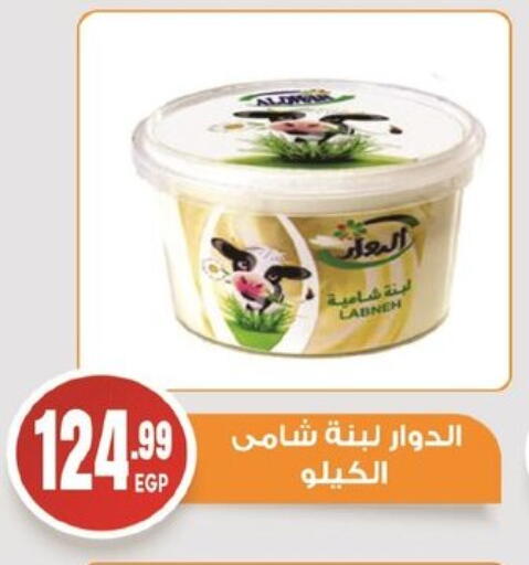 لبنة available at أولاد المحاوى in Egypt - القاهرة