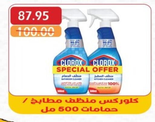 كلوركس منظف عام available at بشاير هايبرماركت in Egypt - القاهرة