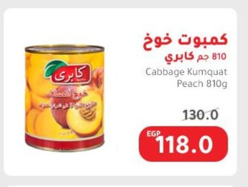 Canned & Packeted in Elhakim market , Egypt Offers - Egypt Kumquat Peach Cabbage available at Elhakim market in Egypt - Cairo