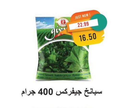 Frozen Fruits & Veg in Metro Market , Egypt Offers - Egypt available at Metro Market in Egypt - Cairo