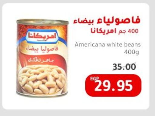 Canned & Packeted in Elhakim market , Egypt Offers - Egypt AMERICANA available at Elhakim market in Egypt - Cairo