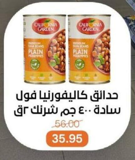 CALIFORNIA GARDEN Fava Beans available at Beit El Gomla in Egypt - Cairo