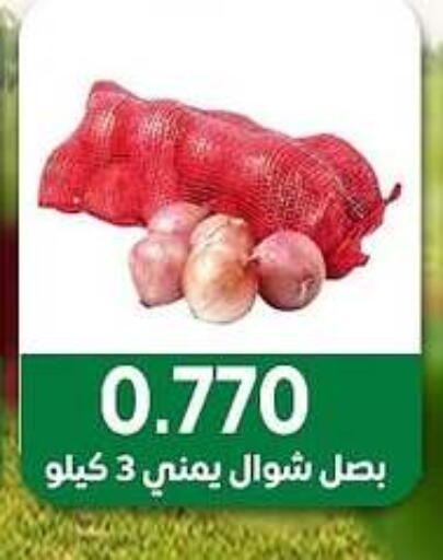 الخضروات الطازجة in جمعية مدينة صباح الأحمد التعاونية, الكويت Offers - الكويت بصل available at جمعية مدينة صباح الأحمد التعاونية in الكويت - محافظة الجهراء