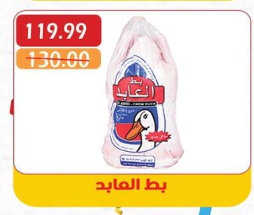 اللحوم المجمدة in بشاير هايبرماركت, Egypt Offers - Egypt available at بشاير هايبرماركت in Egypt - القاهرة