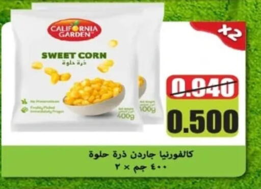 Frozen Fruits & Veg in Al Yarmouk Cooperative Society, Kuwait Offers - Kuwait available at Al Yarmouk Cooperative Society in Kuwait - Kuwait City