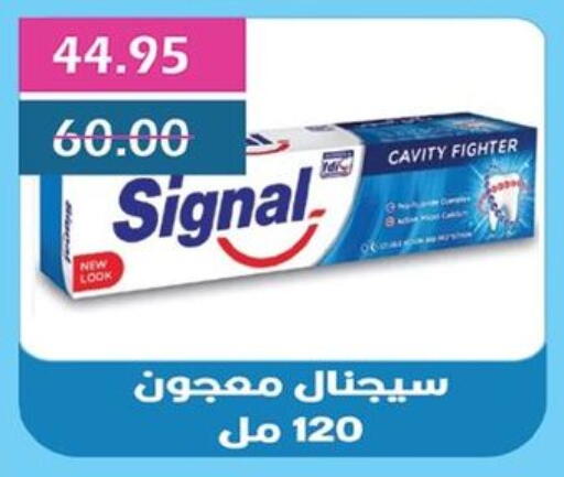 سيجنال available at بشاير هايبرماركت in Egypt - القاهرة