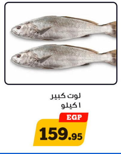 available at أولاد رجب in Egypt - القاهرة