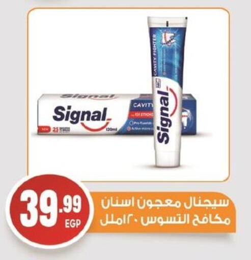 SIGNAL Toothpaste available at El mhallawy Sons in Egypt - Cairo