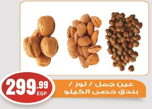 الفواكه المجففة و التمور in أولاد المحاوى, Egypt Offers - Egypt available at أولاد المحاوى in Egypt - القاهرة