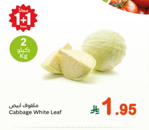 كرنب available at أسواق عبد الله العثيم in مملكة العربية السعودية, السعودية, سعودية - المدينة المنورة
