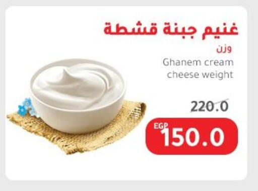Cheese & Cream in Elhakim market , Egypt Offers - Egypt Cream Cheese available at Elhakim market in Egypt - Cairo