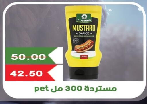 Sauces & Spreads in Bashayer hypermarket, Egypt Offers - Egypt Other Sauce available at Bashayer hypermarket in Egypt - Cairo