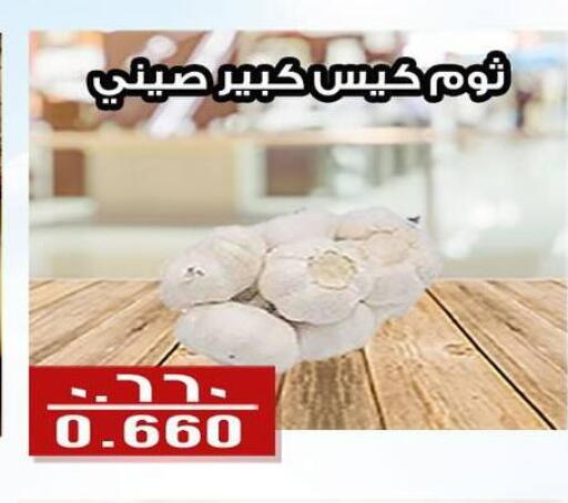 Garlic available at Al Fintass Cooperative Society  in Kuwait - Kuwait City