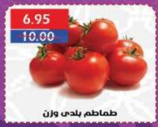 طماطم available at سرحان ماركت in Egypt - القاهرة