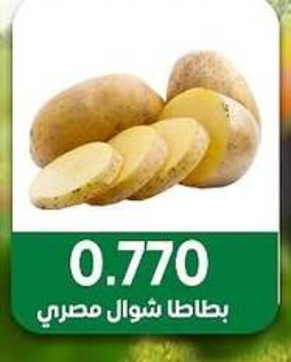 الخضروات الطازجة in جمعية مدينة صباح الأحمد التعاونية, الكويت Offers - الكويت available at جمعية مدينة صباح الأحمد التعاونية in الكويت - محافظة الجهراء