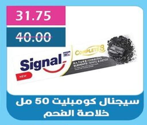 سيجنال available at بشاير هايبرماركت in Egypt - القاهرة