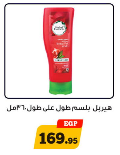 شامبو / بلسم available at أولاد رجب in Egypt - القاهرة