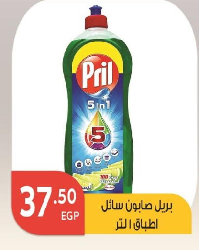 PRIL available at El mhallawy Sons in Egypt - Cairo
