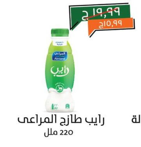 ALMARAI available at Kheir Zaman  in Egypt - Cairo