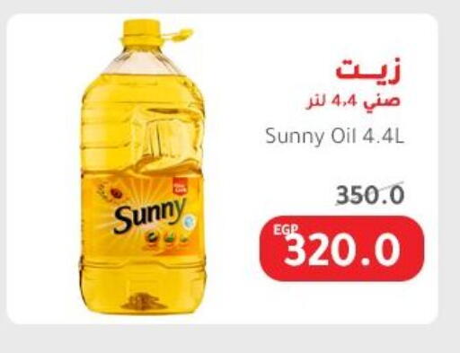 SUNNY available at Elhakim market  in Egypt - Cairo