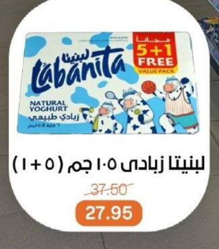 زبادي available at بيت الجملة in Egypt - القاهرة