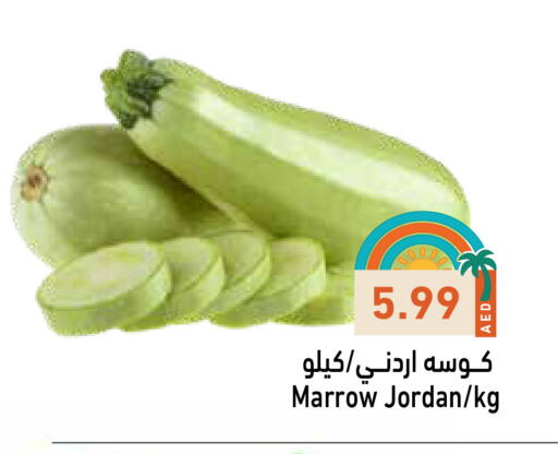 كوسا from Jordan available at أسواق رامز in الإمارات العربية المتحدة , الامارات - دبي