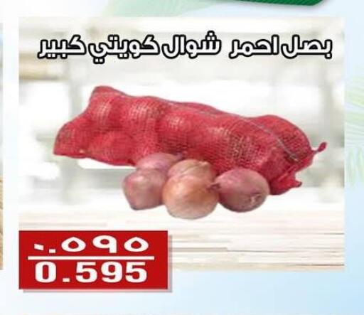 Fresh Vegetables in Al Fintass Cooperative Society , Kuwait Offers - Kuwait Onion available at Al Fintass Cooperative Society in Kuwait - Kuwait City