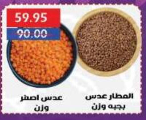 available at سرحان ماركت in Egypt - القاهرة