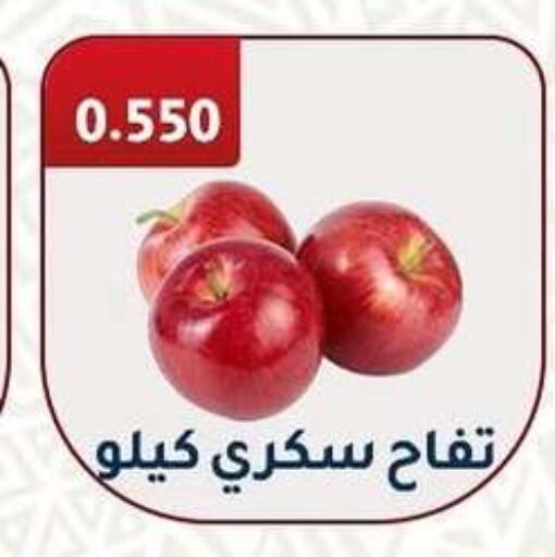 تفاح available at جمعية فحيحيل التعاونية in الكويت - محافظة الجهراء
