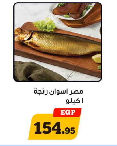 الأسماك الطازجة in أولاد رجب, Egypt Offers - Egypt available at أولاد رجب in Egypt - القاهرة