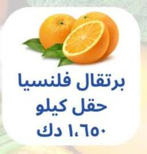 فاكهة طازجة in جمعية حطين التعاونية, الكويت Offers - الكويت برتقال available at جمعية حطين التعاونية in الكويت - مدينة الكويت