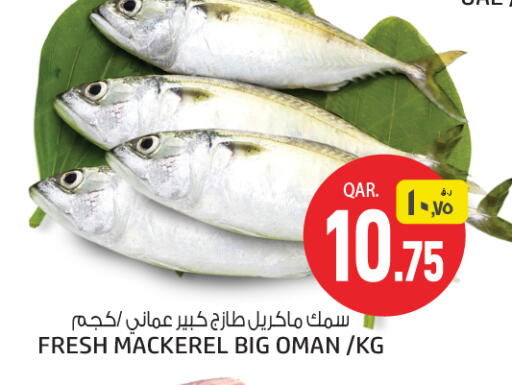 available at كنز ميني مارت in قطر - الوكرة