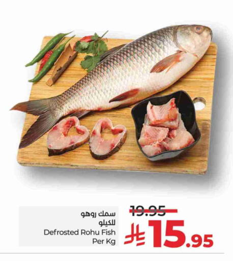 Fresh Fish in LULU Hypermarket, Saudi Arabia Offers - Saudi Arabia available at LULU Hypermarket in KSA, Saudi Arabia, Saudi - Mecca