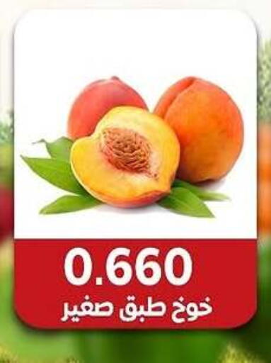 خوخ available at جمعية مدينة صباح الأحمد التعاونية in الكويت - مدينة الكويت