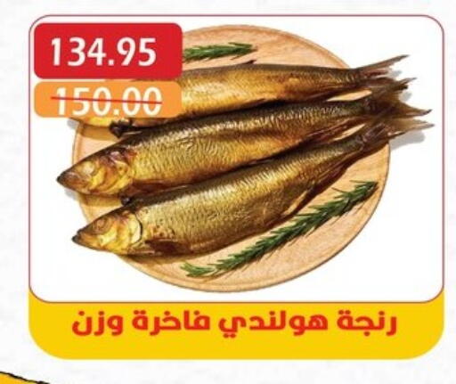available at بشاير هايبرماركت in Egypt - القاهرة