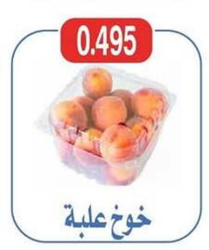 فاكهة طازجة in جمعية شمال غرب الصليبيخات, الكويت Offers - الكويت available at جمعية شمال غرب الصليبيخات in الكويت - محافظة الجهراء