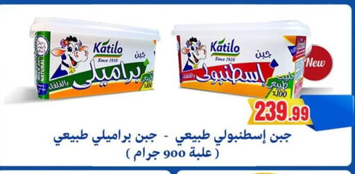 كتيلو available at أولاد المحاوى in Egypt - القاهرة
