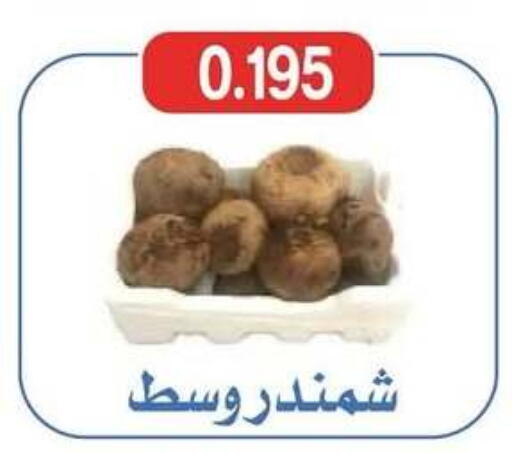 available at جمعية شمال غرب الصليبيخات in الكويت - محافظة الأحمدي