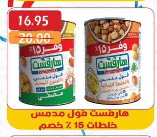 Canned & Packeted in Bashayer hypermarket, Egypt Offers - Egypt available at Bashayer hypermarket in Egypt - Cairo