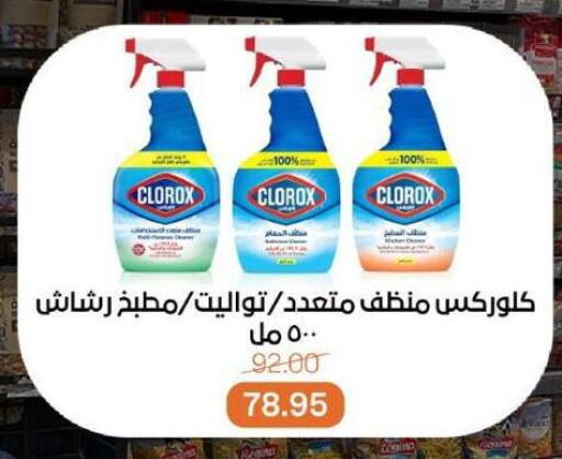كلوركس منظف عام available at بيت الجملة in Egypt - القاهرة