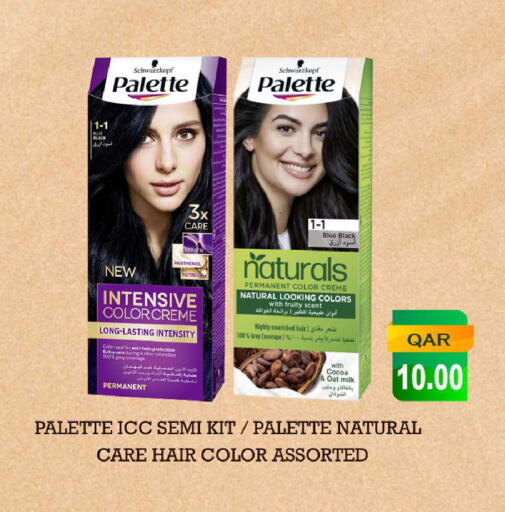 PALETTE Hair Colour available at Rawabi Hypermarket in Qatar - Al Shamal