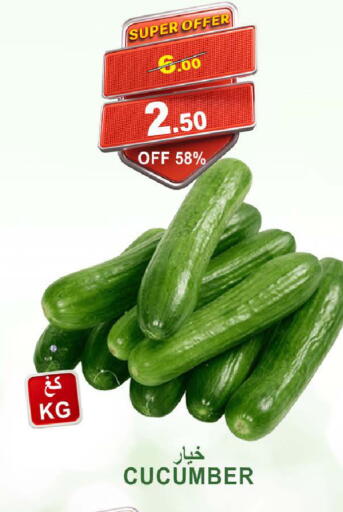 Cucumber available at Khair Beladi Market in KSA, Saudi Arabia, Saudi - Yanbu