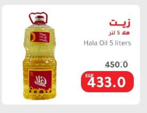 available at Elhakim market  in Egypt - Cairo