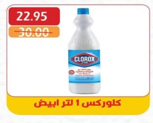 Cleaning in Bashayer hypermarket, Egypt Offers - Egypt CLOROX General Cleaner available at Bashayer hypermarket in Egypt - Cairo