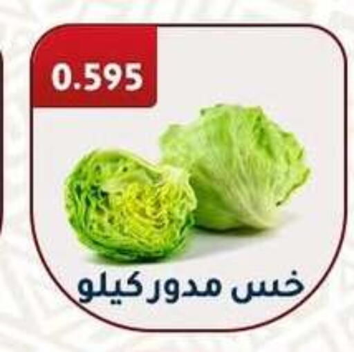 available at Al Fahaheel Co - Op Society in Kuwait - Jahra Governorate
