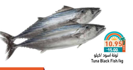 available at أسواق رامز in الإمارات العربية المتحدة , الامارات - رَأْس ٱلْخَيْمَة